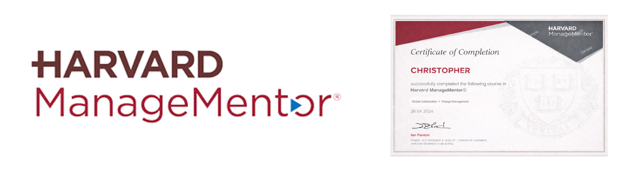 Harvard ManageMentor